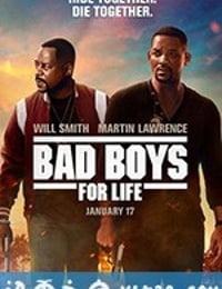 绝地战警：疾速追击 Bad Boys for Life (2020)