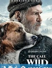 野性的呼唤 The Call of the Wild (2020)