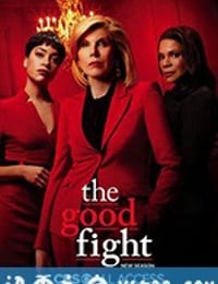 傲骨之战 第四季 The Good Fight Season 4 (2020)