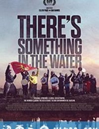 毒水：环境种族主义 There's Something in the Water (2019)