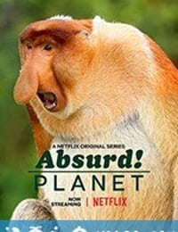 怪诞星球 Absurd Planet (2020)