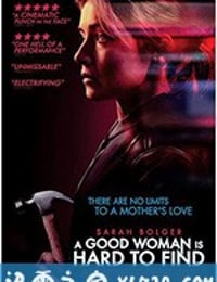 好人难寻 A Good Woman Is Hard to Find (2019)