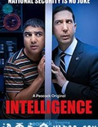 不靠谱情报局 第一季 Intelligence Season 1 (2020)