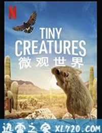 微观世界 Tiny Creatures (2020)