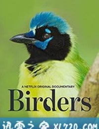 观鸟者 Birders (2019)