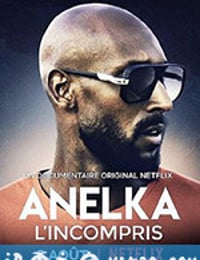 阿内尔卡：全是误解 Anelka: L'Incompris (2020)