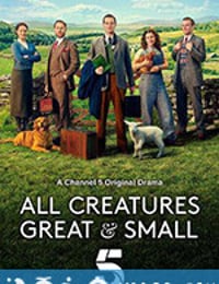 万物生灵 All Creatures Great and Small (2020)