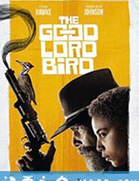 上帝之鸟 The Good Lord Bird (2020)