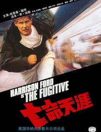 1993年美国经典动作片《亡命天涯》BD国英双语中英双字