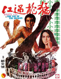 1972年中国香港经典动作片《猛龙过江》BD国粤双语中字