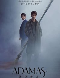 2022年韩国电视剧《Adamas》全16集