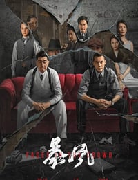 2023年国产动作悬疑片《暴风》HD国语中字