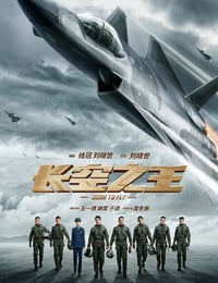 2023年国产6.6分动作片《长空之王》BD国语中字