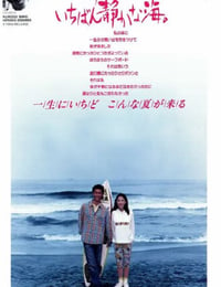 1991年日本经典爱情片《那年夏天，宁静的海》蓝光日语中字