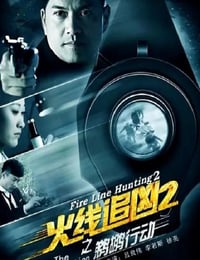 2013年国产经典动作片《火线追凶2之鹈鹕行动》HD国语中字