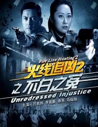 2013年国产经典动作片《火线追凶2之不白之冤》HD国语中字