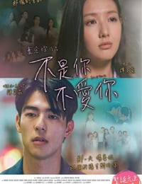 2024年中国香港爱情片《不是你不爱你》BD国粤双语中字