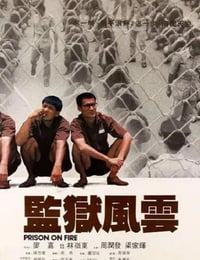 1987年中国香港经典动作片《监狱风云》蓝光国粤双语中字