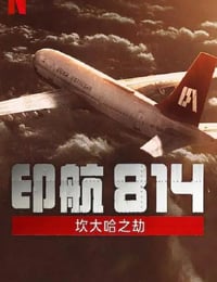 2024年印度电视剧《印航814：坎大哈之劫》全6集