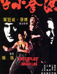 1975年中国香港经典动作片《洪拳小子》蓝光国语中字