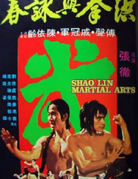 1974年中国香港经典动作片《洪拳与咏春》蓝光国语中字