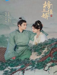 2025年国产大陆电视剧《榜上佳婿》连载至16