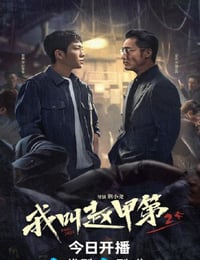 2025年国产大陆电视剧《我叫赵甲第2》连载至17