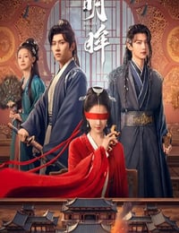 2025年国产大陆电视剧《明眸》连载至11