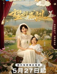 2025年国产大陆电视剧《望母成凤》连载至14