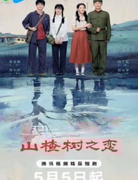 2025年国产大陆电视剧《山楂树之恋》连载至14