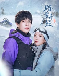 2025年国产大陆电视剧《踏雪寻熊》全24集