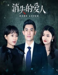 2025年国产大陆电视剧《消失的爱人》全24集