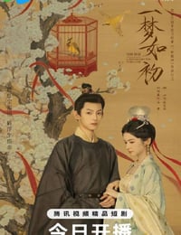 2025年国产大陆电视剧《一梦如初》连载至08