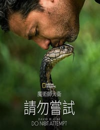 2025年美国纪录片《大卫·布雷恩：请勿尝试》全6集