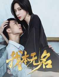 2025年国产大陆电视剧《我本无名》连载至10