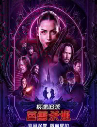 2025年美国7.3分动作片《疾速追杀：芭蕾杀姬》HD机翻中英双字