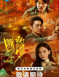 2025年国产大陆电视剧《鹦鹉》连载至21