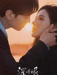 2025年国产大陆电视剧《深情眼》连载至21
