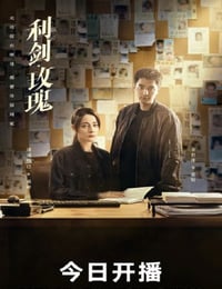 2025年国产大陆电视剧《利剑·玫瑰》连载至06