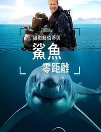 2025年美国纪录片《摄影师贝尔蒂与鲨鱼零距离》HD英语中字