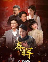 2025年国产大陆电视剧《春晖》连载至06