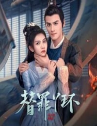 2025年国产大陆电视剧《替罪丫鬟》连载至06