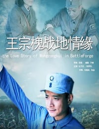 2013年国产经典战争片《王宗槐战地情缘》HD国语中字