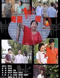 2020年国产喜剧片《奇葩胖嫂》HD国语中字