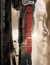 2021年国产纪录片《中国减贫密码》HD国语中英双字