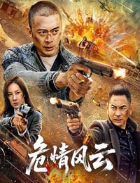 2025年国产动作片《危情风云》HD国语中字