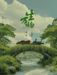 2025年国产大陆电视剧《生万物》连载至08