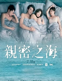 2025年中国台湾电视剧《亲密之海》全7集