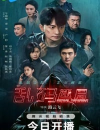 2025年国产大陆电视剧《乱码迷局》连载至09