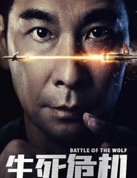 2025年国产动作片《生死危机》HD国语中英双字